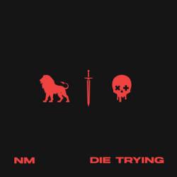 <div class='align-center'><strong>New Medicine</strong><br><em>Die Trying</em><br><span class='note'>2025</span><br><span class="tag small"><span class="note">2x</span><strong>12"</strong></span><br><img src='images/formats/record_30.png' class='format_image'  style='background-color:#e91373;' /><img src='images/formats/record_30.png' class='format_image'  style='background-color:#ee1d8b;' /><br>Added By <strong>mattwells03</strong></div>