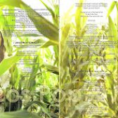 Booklet 2