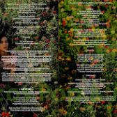 Booklet 4