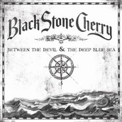 <div class='align-center'><strong>Black Stone Cherry</strong><br><em>Between The Devil & The Deep Blue Sea</em><br><span class='note'>2019</span><br><span class="tag small"><strong>12"</strong></span><br><img src='images/formats/record_30.png' class='format_image'  style='background-color:#333333;' /><br>Added By <strong>vibes</strong></div>