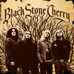 <div class='align-center'><strong>Black Stone Cherry</strong><br><em>Black Stone Cherry</em><br><span class='note'>2019</span><br><span class="tag small"><strong>12"</strong></span><br><img src='images/formats/record_30.png' class='format_image'  style='background-color:#333333;' /><br>Added By <strong>vibes</strong></div>