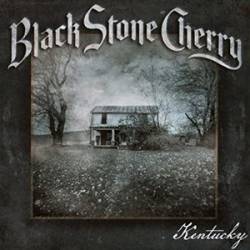 <div class='align-center'><strong>Black Stone Cherry</strong><br><em>Kentucky</em><br><span class='note'>2016</span><br><span class="tag small"><strong>12"</strong></span><br><img src='images/formats/record_30.png' class='format_image'  style='background-color:#333333;' /><br>Added By <strong>vibes</strong></div>