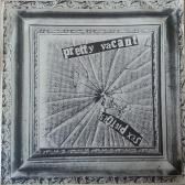 Pretty Vacant Ger front